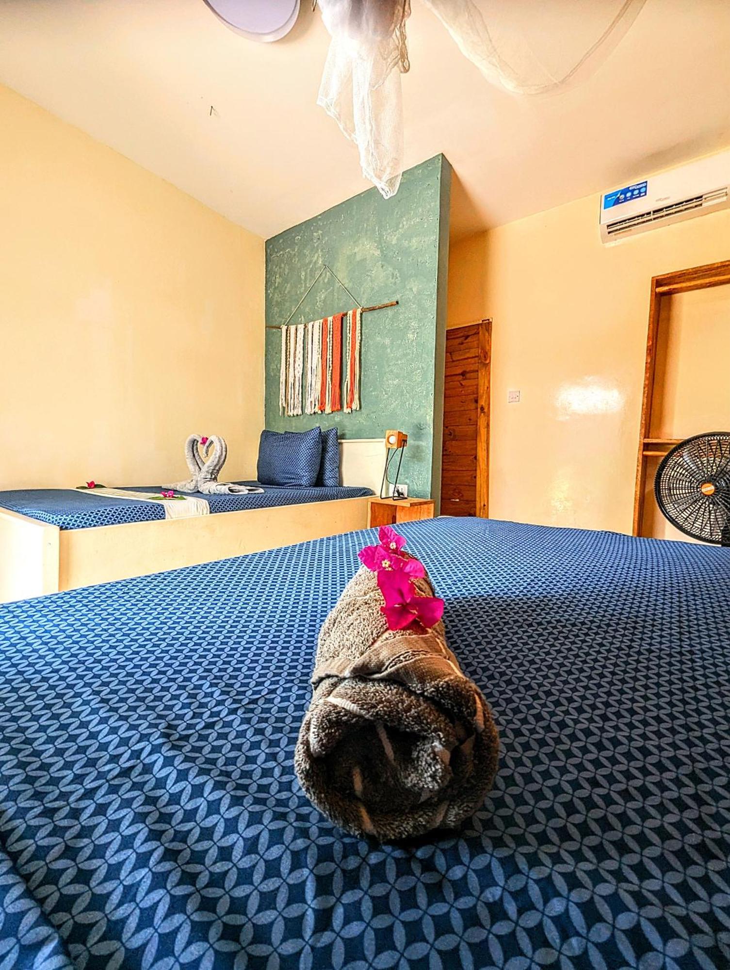 Jambiani Backpackers Hostel Стая снимка